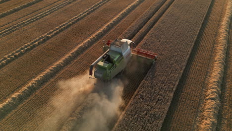 Establishing-Cinematic-Drone-Shot-of-Claas-Combine-Harvester-into-the-Sun-at-Golden-Hour-Sunset-with-lots-of-Dust