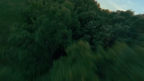 cinematic-fpv-racing-drone-flying-freestyle-dangerous-maneuvers-between-trees