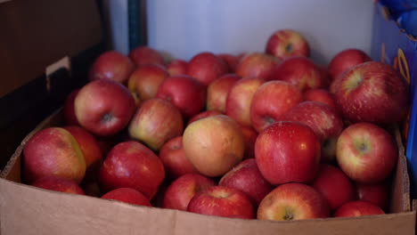 Manzanas-Rojas-En-Una-Caja-En-La-Gala-De-La-Despensa-De-Alimentos