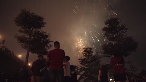 Frohes-Neues-Mondjahr-Feuerwerksfeiern-In-Vietnam