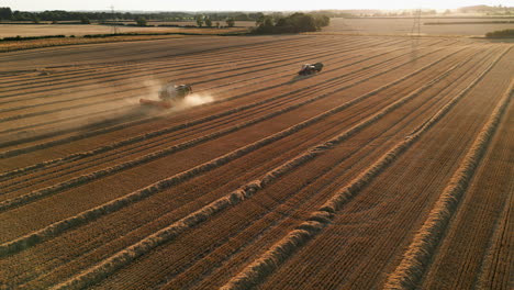 Establishing-Cinematic-Drone-Shot-of-Claas-Combine-Harvester-and-Tractor-with-Trailer-into-the-Sun-Harvesting-with-Lots-of-Dust