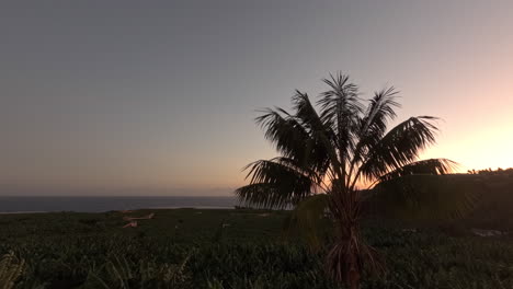 Sonnenaufgang-Im-Zeitraffer-über-Einer-Bananenplantage-Auf-Teneriffa-Mit-Dem-Atlantik-Im-Hintergrund