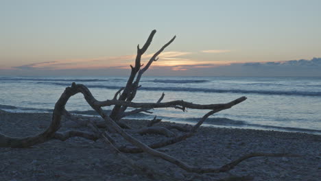 Zeitraffer-Sonnenaufgang-über-Dem-Meer,-Während-Totes-Holz-Auf-Einem-Steinigen-Strand-Ruht