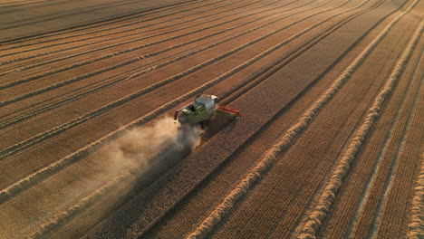 Establishing-Drone-Shot-of-Claas-Combine-Harvester-at-Stunning-Golden-Hour-Sunset-with-Dust-Harvesting-into-the-Sun-Yorkshire-UK