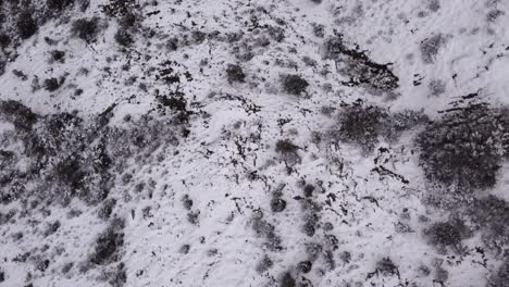 Top-down-aerial-drone-shot-of-abstract-snowy-mountain-texture,-orbit,-winter