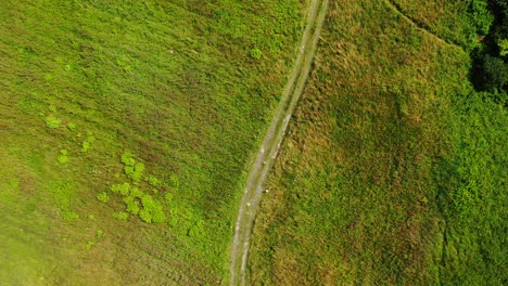 Country-road-between-beautiful-colorful-autumn-fields-aerial-view