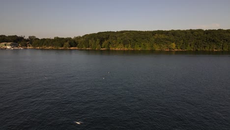 Birds-landing-on-candlewood-lake-in-Connecticut,-Northeast-USA-during-summer-season-with-marina-in-background