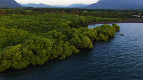 Drone-footage-of-shrubs-at-the-base-of-Chile's-Villarrica-volcano-and-lake,-showcasing-lush-greenery,-Andean-flora-and-natural-beauty