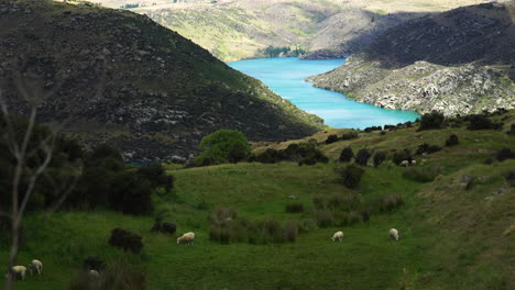 Vibrant-blue-river-and-mountain-valley-landscape-in-Cromwell,-New-Zealand