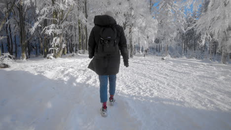 Turista-Caminando-Por-Un-Sendero-Forestal-En-Invierno-Helado-Hacia-árboles-Cubiertos-De-Nieve-Y-Escarcha