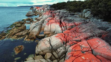 Bay-Of-Fires-Drone-of-Orange-Boulder-Landscape-Tasmania,-Australia