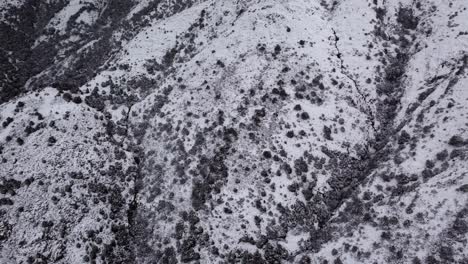 Von-Oben-Nach-Unten-Luftaufnahme-Eines-Schneebedeckten-Berges-Mit-Bäumen-Und-Dunklen-Bächen