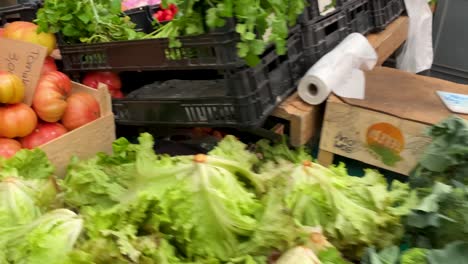 Verduras-Frescas-En-El-Mostrador-De-La-Tienda