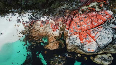 Bay-Of-Fires-Drohne-Aus-Orangefarbenen-Felsen,-Hellblaues-Wasser-In-Tasmanien