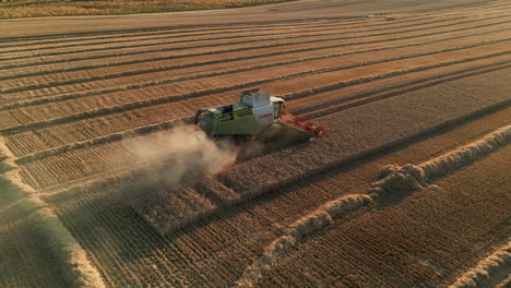 Falling-Establishing-Drone-Shot-of-Claas-Combine-Harvester-with-Dust-getting-Low-and-Close-Up-into-the-Sun-at-Golden-Hour-Sunset-UK