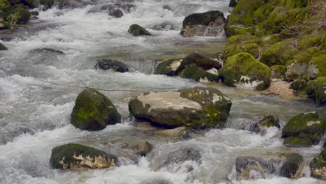 Tilt-down-shot-of-natural-river-flowing-down-mountain-between-mossy-rocks-in-Austria---SLow-motion-footage