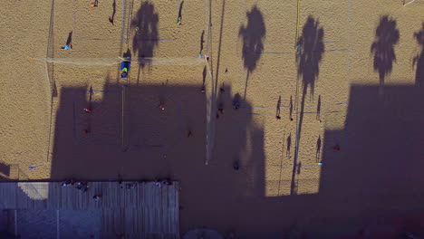 Rising-aerial-shot-of-a-bicycle-lane-in-height-on-the-shore-of-a-beach-with-palm-trees,-people-playing-volleyball