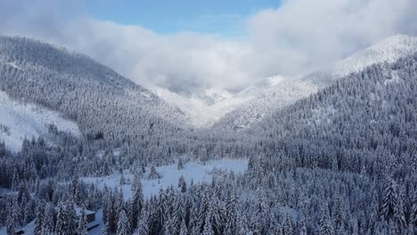 Drone-shot-of-winter-forrest-with-mountains