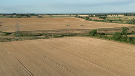 Establishing-Drone-Shot-of-Farming-Fields-of-Wheat-with-Pylons-and-Combine-Harvester-and-Tractor-with-Trailer-the-Distance-at-Golden-Hour-UK