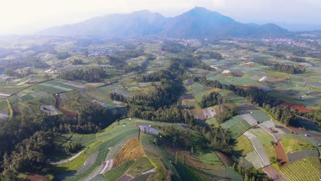 Luftaufnahme-Einer-Großen-Gemüseplantage-Mit-Berg-Im-Hintergrund-Morgens-Bei-Leicht-Nebligem-Wetter---Tropische-Ländliche-Landschaft