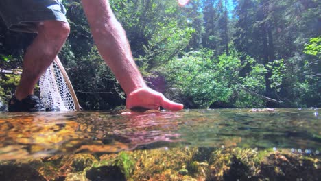 Fly-fisherman-releases-small-cutthroat-trout-into-a-mountain-creek