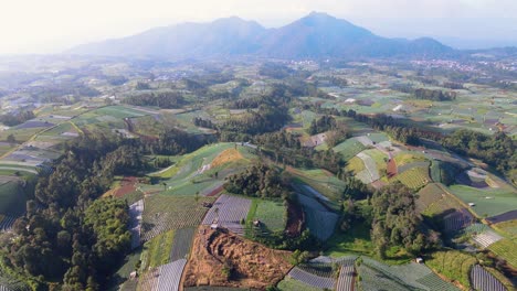 Aerial-view-of-lush-vegetable-plantation-with-mountain-on-the-background-in-the-morning-with-slightly-foggy-weather---Tropical-landscape-of-Indonesia