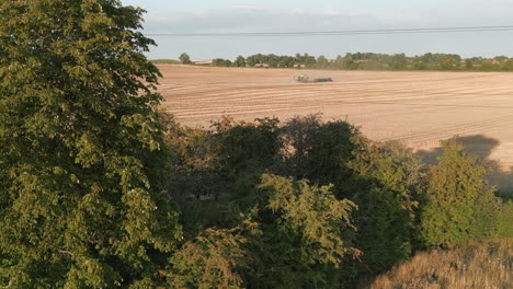 Slow-Establishing-Rising-Drone-Shot-of-Combine-Harvester-and-Tractor-Working-with-Trees-and-Power-Lines-in-the-Foreground-at-Golden-Hour-UK