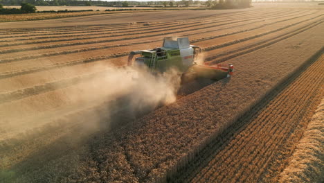 Low-Cinematic-Drone-Shot-of-Claas-Combine-Harvester-into-the-Sun-at-Golden-Hour-Sunset