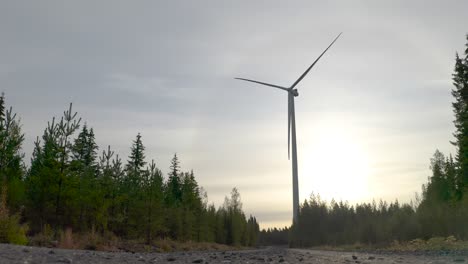 Scenic-Wind-turbine-during-the-afternoon-in-the-middle-of-a-woodland,-Tilt-up-shot