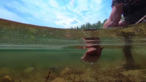 Releasing-a-cutthroat-trout-into-an-alpine-lake-with-incredibly-clear-water