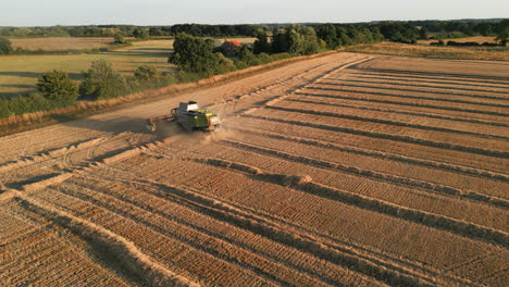 Drone-Shot-of-Claas-Combine-Harvester-Turning-at-End-of-Field-and-Driving-Down-Field-with-Tractor-Following-at-Golden-Hour-UK