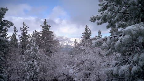 Snowy-winter-landscape-in-Big-Bear,-California