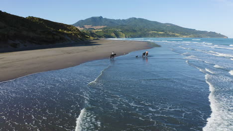 New-Zealand-horseback-riding-on-the-beach-of-Raglan,-sightseeing-on-the-coastline