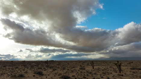 Dramatic-storm-clouds-over-a-Joshua-tree-grove-in-the-Mojave-Desert---sliding-aerial-flyover