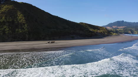 New-Zealand-horseback-riding-on-the-beach-of-Raglan,-Sightseeing-and-exploring
