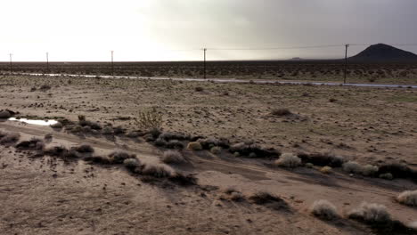 Grupo-De-Coyotes-Bebiendo-En-Un-Charco-Después-De-Una-Lluvia-En-El-Desierto-De-Mojave---Antena