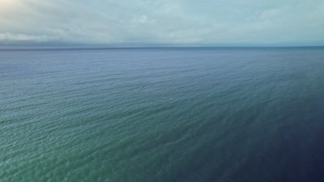 Antena-Siguiendo-La-Vaina-De-Delfines-Nadando-En-El-Océano-Azul