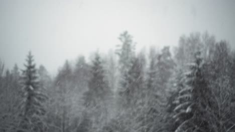 Schneebedeckter-Winterwald-Unter-Stürmischem-Schneefall-Und-Düsterem-Himmel---Statisch