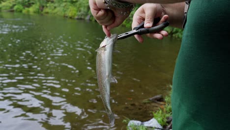 Fisherman-Unhooking-Rainbow-Trout-into-River