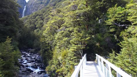 Slow-walk-across-footbridge-viewing-incredible-waterfall-and-lush-mountain-beech-forest---Devil's-Punchbowl-Waterfall-Walk,-Arthur's-Pass-National-Park