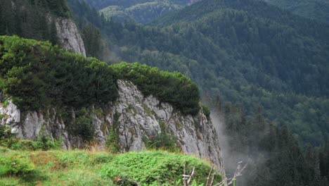Schwenk-Nach-Rechts-Auf-Klippen-Mit-Grüner-Vegetation-Darauf,-Einigen-Nebelschwaden-Und-Einem-Endlosen-Grünen-Wald-Im-Hintergrund
