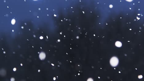 close-up-of-snow-falling-in-the-evening,-panning-from-left-to-right,-before-resting-on-a-background-tree