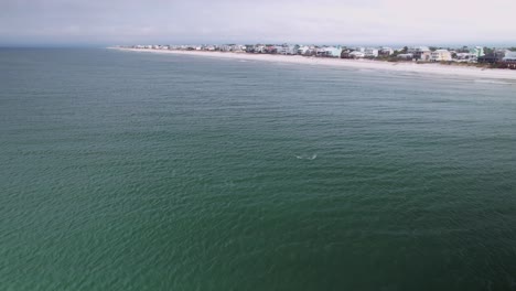 Antena-De-Delfines-Nadando-Frente-A-Playas-De-Arena-Y-Condominios-Frente-Al-Mar-En-Cabo-San-Blas,-Florida