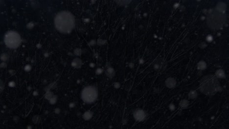 slow-motion-flurry-of-snow-on-a-dark-winter-night-in-a-blizzard