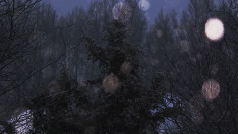 slow-motion-snow-falling-in-front-of-trees,-panning-from-left-to-right