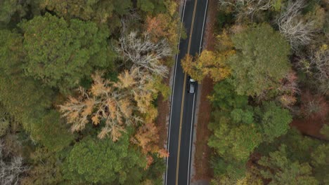Drone-shot-of-car-driving-through-woods