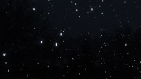 Noche-De-Enero-Muy-Oscura-Con-Copos-De-Nieve-Visibles-Cayendo-A-Cámara-Lenta