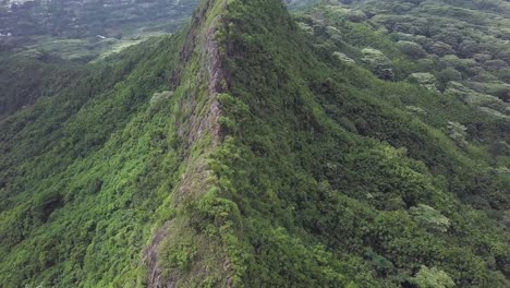 Koa-tree-and-foliage-covered-mountain-spine-on-Windward-side-of-Oahu-Hawaii-with-a-hazy-sky,-Aerial-dolly-tilt-up-of-Three-Peaks-Hiking-trail,-also-known-as-Olomana