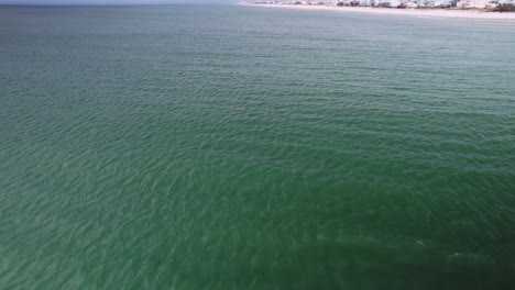 Luftaufnahmen-Von-Delphinschwärmen,-Die-Vor-Sandstränden-Und-Eigentumswohnungen-Am-Meer-Schwimmen