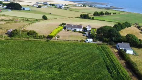 An-aerial-pull-back-shot-of-a-rare-maize-crop-growing-near-Carlingford-Ireland